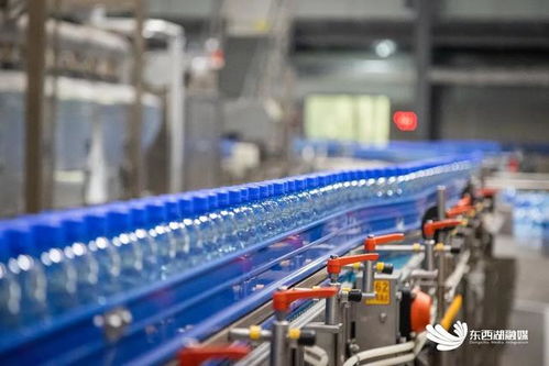 探秘全区首家国家级绿色工厂 餐饮服务的环保革命