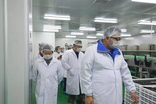 快乐购游大漠红景区 枸杞田里拍大片 餐饮服务体验全攻略