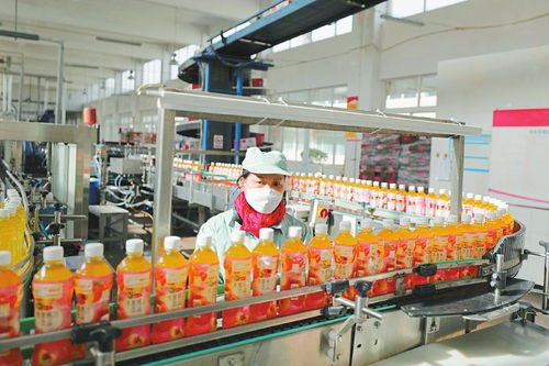 多产业协同发展 铝产业、绿色家居与食品饮料等重点领域的建设与营商环境优化