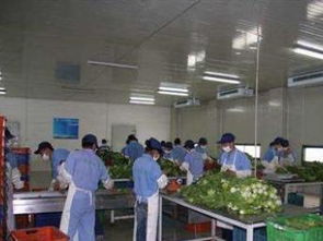 广州蔬菜配送 打造工厂食堂承包与同城饮食服务新标杆